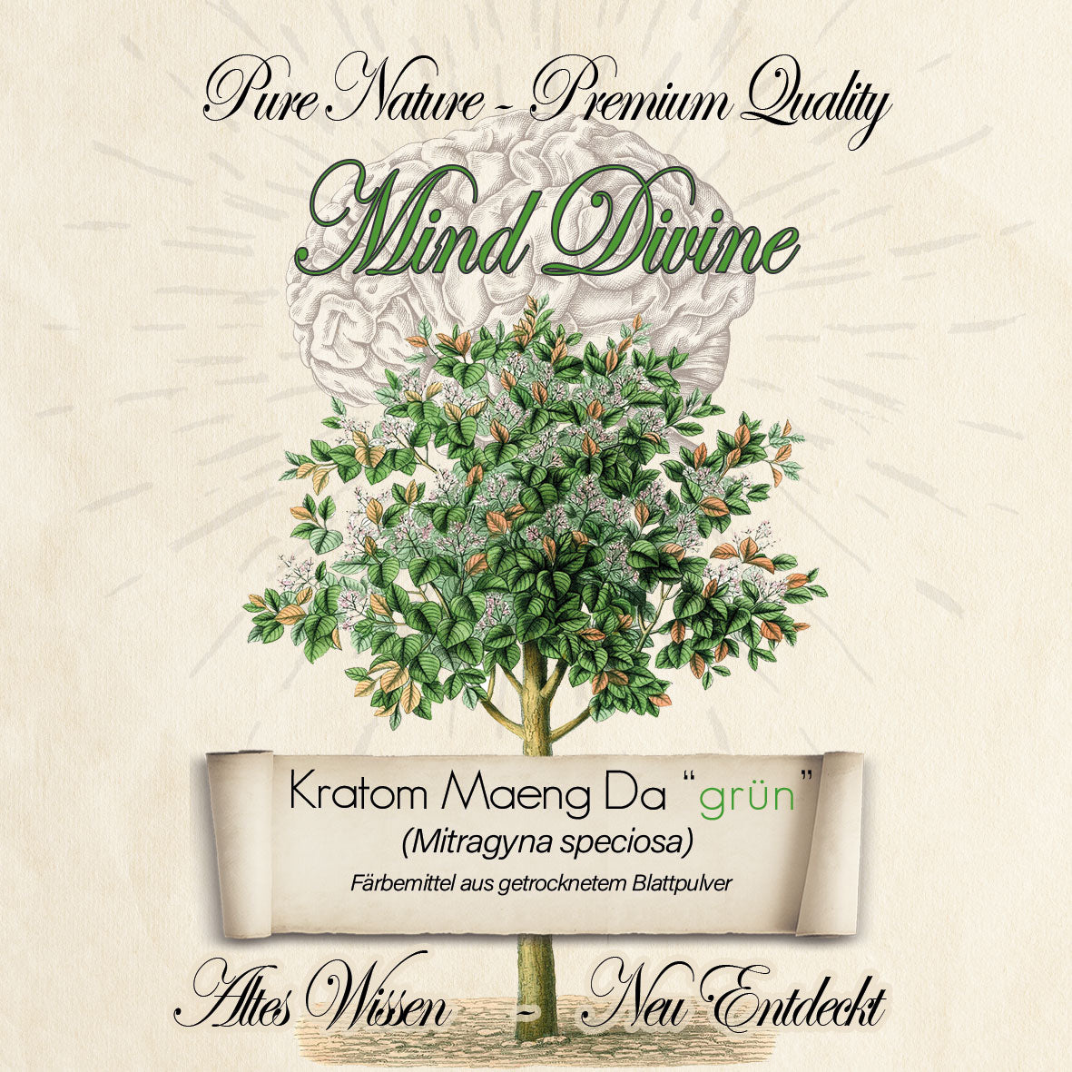 Kratom "Maeng Da" GRÜN (Borneo)