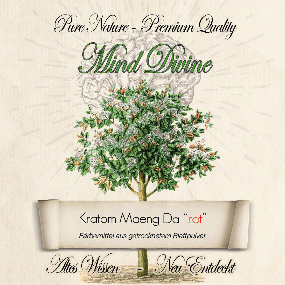 Kratom Red Maeng Da (Indonesia)